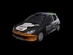 Peugeot 206 XS Gr.A 1