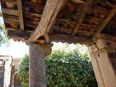 DSCN9556 DSCN9556