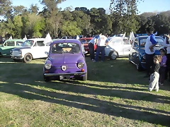 SDC13805 SDC13805