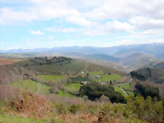 DSCN8815 DSCN8815
