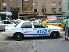 CV-NYPD