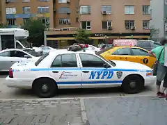 CV-NYPD