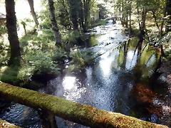 DSCN6932 DSCN6932