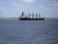 SDC14222 SDC14222