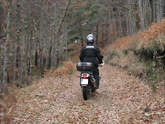IMG_3578 IMG_3578