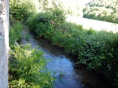 DSCN2423