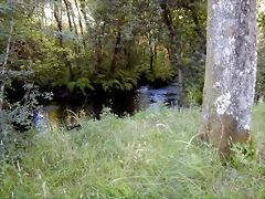 DSCN9728 DSCN9728