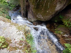 DSCN5845 DSCN5845