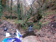 DSCN3103 DSCN3103