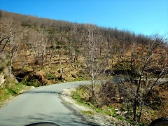 DSCN3689 DSCN3689