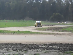 SDC10853 SDC10853