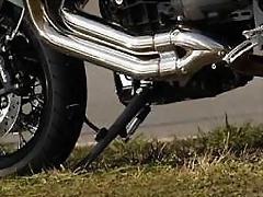 Pata cabra