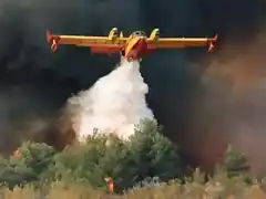 canadair 6