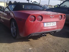 IMAG0265 IMAG0265