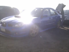 IMAG0266 IMAG0266