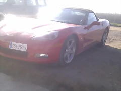 IMAG0264 IMAG0264