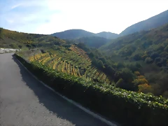 DSCN4727 DSCN4727