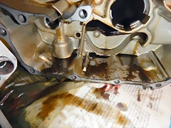 DSCN1526 DSCN1526