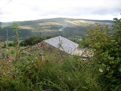 IMG_0461 IMG_0461