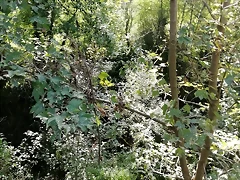 IMG_20180923_133922 IMG_20180923_133922