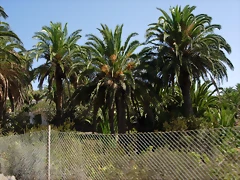 DSCN7462 DSCN7462