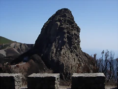 DSCN7475