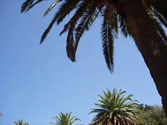 DSCN7463 DSCN7463