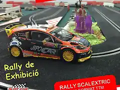 2016_12_02_RALLY_TTM_SCX_fiesta