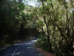 DSCN7399 DSCN7399