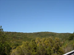 DSCN7468