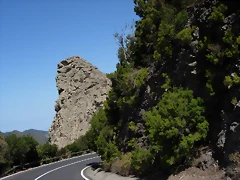 DSCN7477