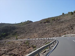 DSCN7500