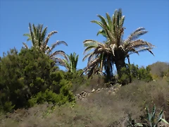 DSCN7414 DSCN7414