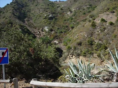 DSCN7384 DSCN7384