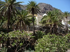 DSCN7443 DSCN7443
