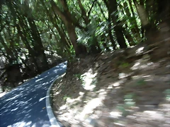 DSCN7411 DSCN7411