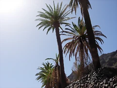 DSCN7461 DSCN7461