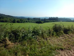 DSCN7513 DSCN7513