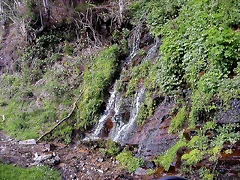 DSCN9067 DSCN9067