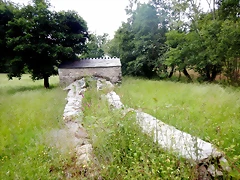 DSCN4582 DSCN4582