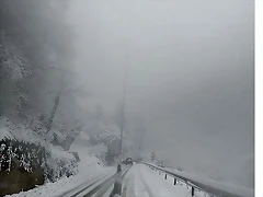 IMG20211205101653