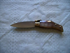 P9060025 P9060025