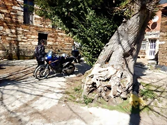 DSCN3789 DSCN3789