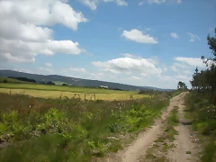DSCN5378