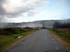 DSCN8460 DSCN8460