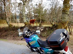 DSCN9568 DSCN9568