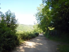 DSCN9157 DSCN9157