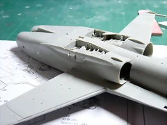 P1080933 P1080933