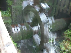 DSCN6761 DSCN6761