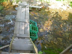 DSCN6758 DSCN6758